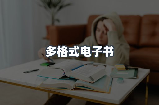 多格式电子书